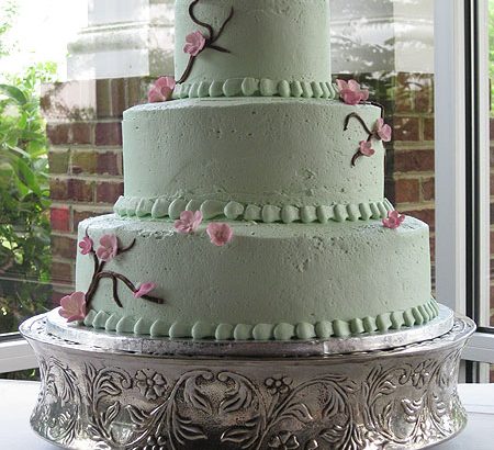 contemporary wedding cakes selbyville de